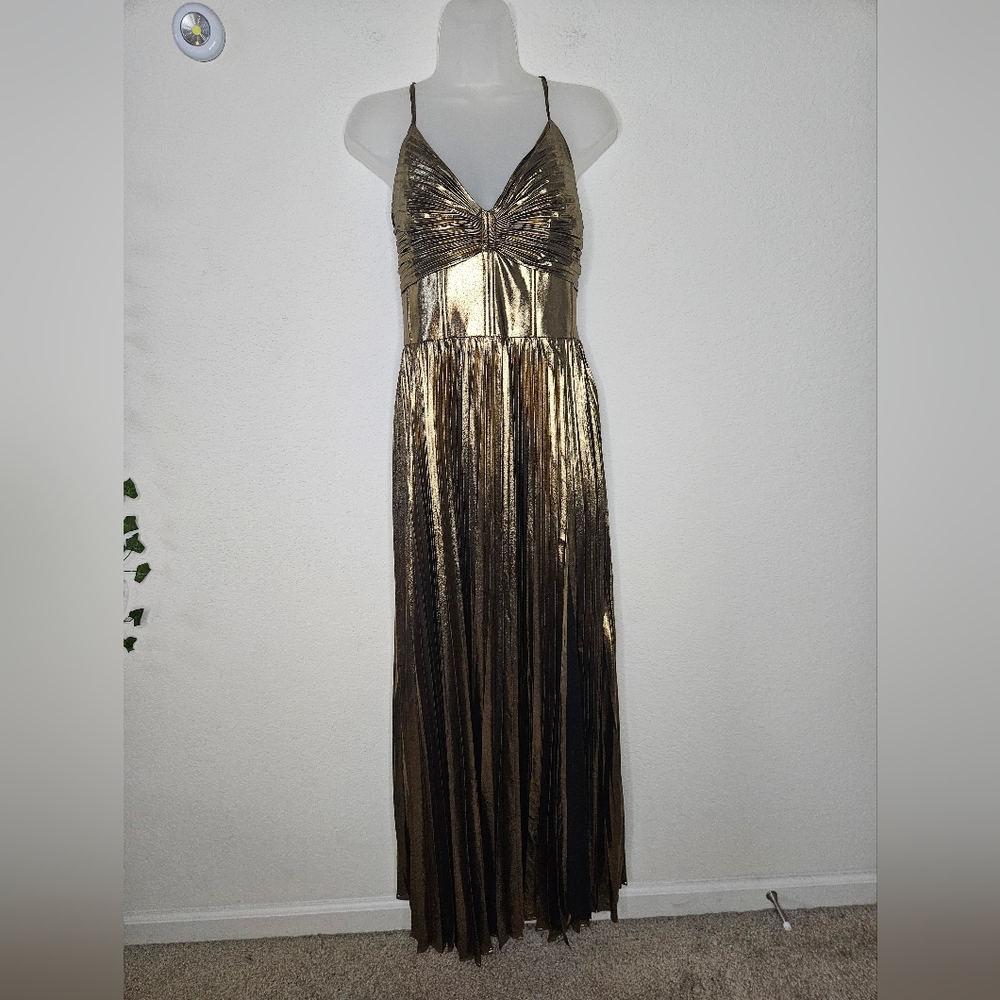 NWT Banana Republic Raggiera Pleated Gold Metallic Maxi Dress Corset Bodice - Picture 4 of 16